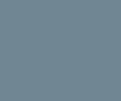 SMOKE GREY PAINT