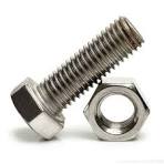 S.S NUT BOLT 12 X 150 MM